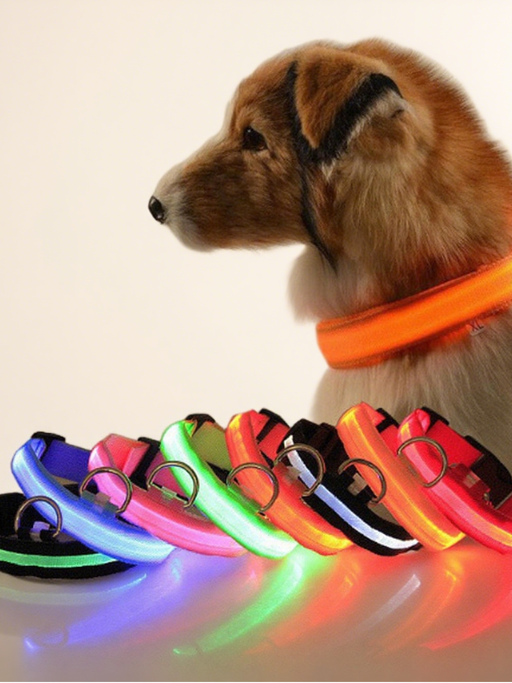 Milou & Lumi LED Glowing Pet Collar - Yellow