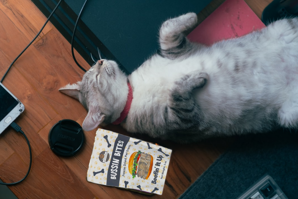 Single Ingredient, High Value Freeze-Dried Training Treats for Dogs & Cats - Beef Liver
