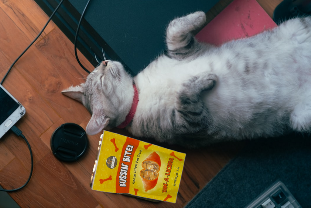 Single Ingredient, High-Value Freeze-Dried Training Treats for Dogs & Cats - Sweet Potato