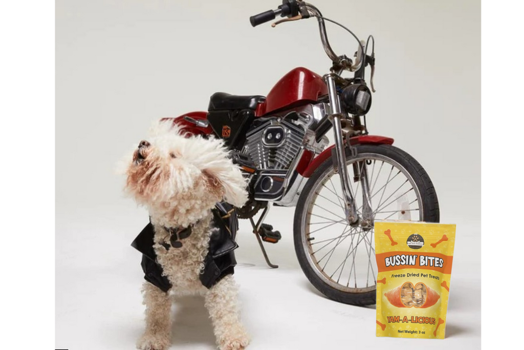 Single Ingredient, High-Value Freeze-Dried Training Treats for Dogs & Cats - Sweet Potato