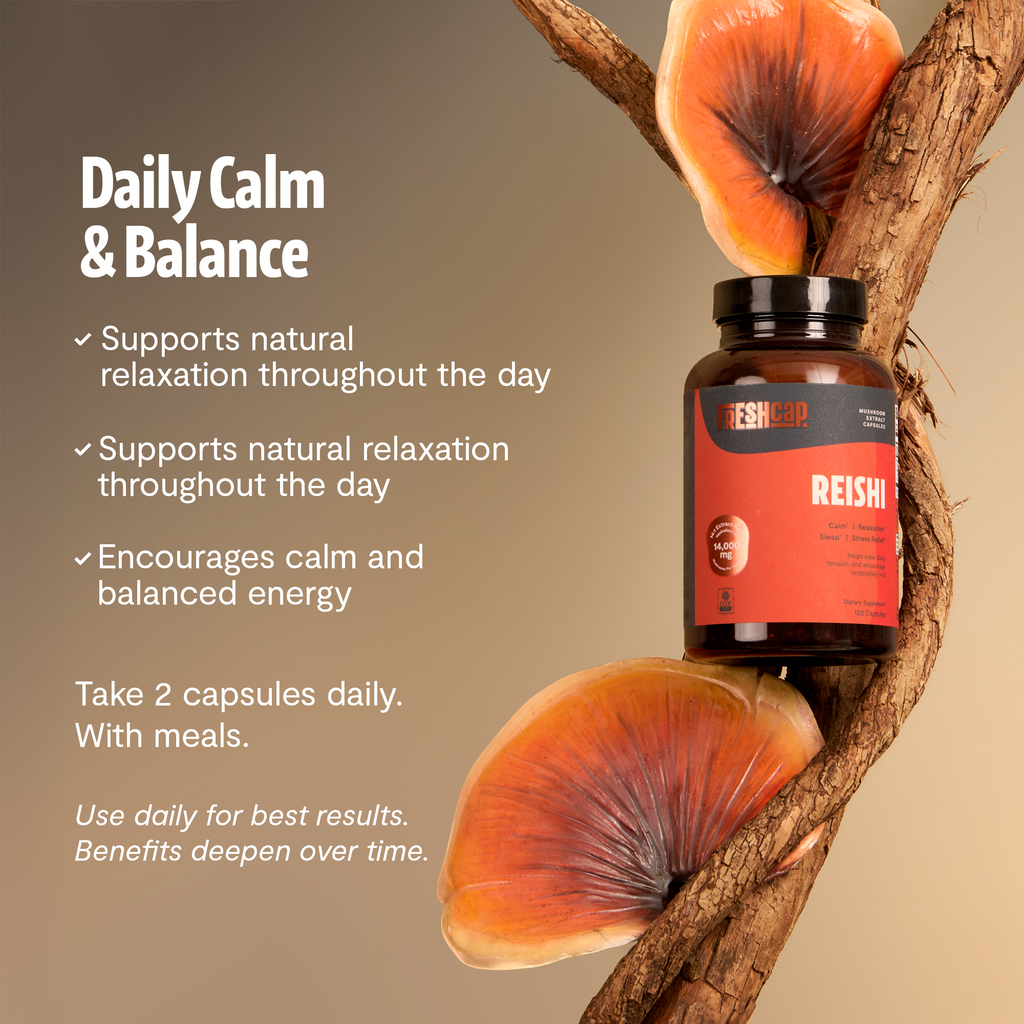 Reishi Mushroom Extract Capsules