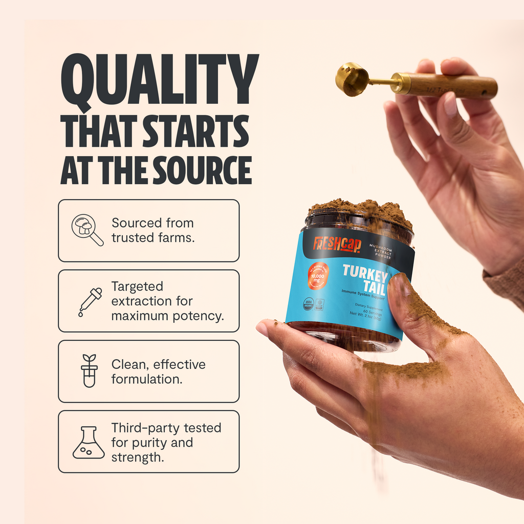 Turkey Tail Mushroom Extract Powder