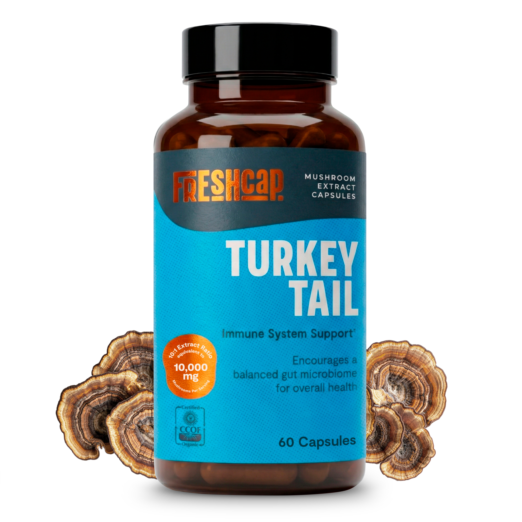 Turkey Tail Mushroom Extract Capsules