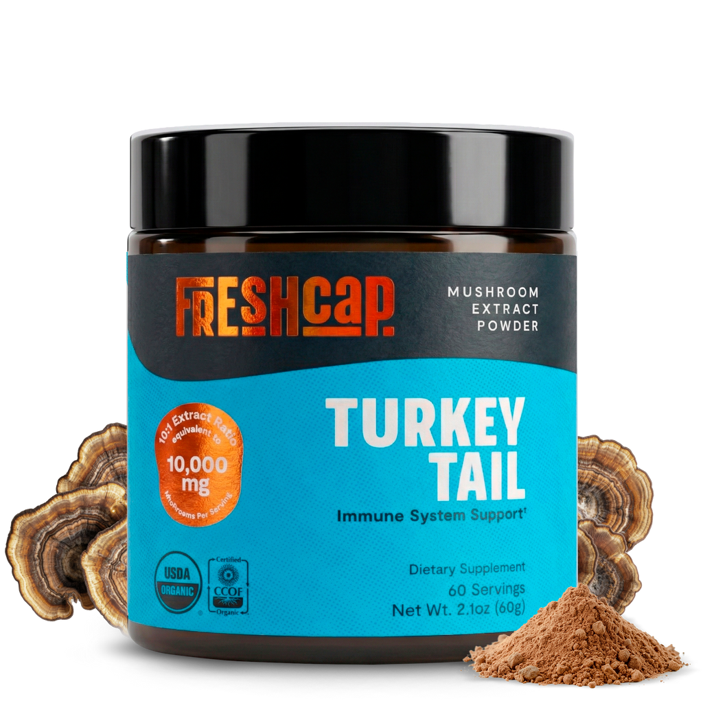Turkey Tail Mushroom Extract Powder